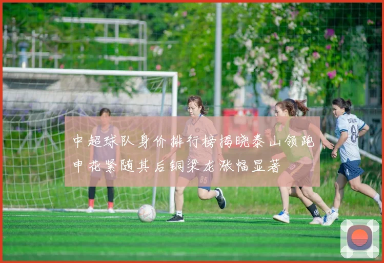 中超球队身价排行榜揭晓泰山领跑申花紧随其后铜梁龙涨幅显著
